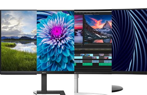 The best 4K monitors for 2024 | Popular Science