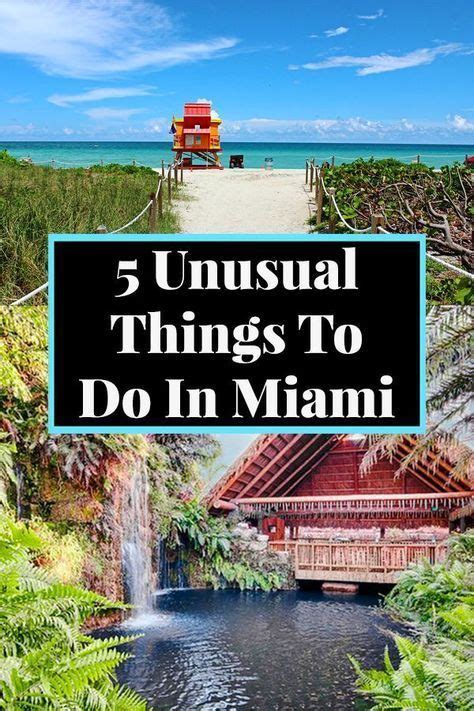 5 unusual things to do in miami – Artofit