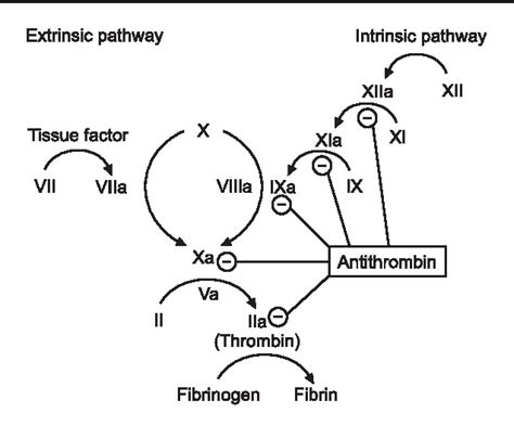 Figure 3 from Role of antithrombin concentrate in treatment of hereditary antithrombin ...