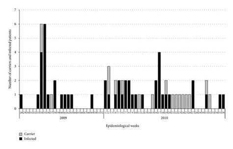 Epidemic curve expressing the incidence of cases (carriers and infected ...