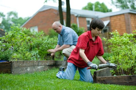 Harmful Effects of Synthetic Fertilizers on the Environment | Nature With Us