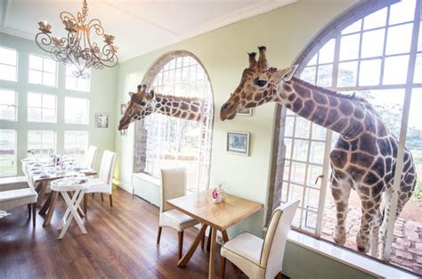 Giraffe Manor Guest House - Nairobi, Kenya (Overview)