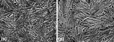 Microstructure of the carburized surface layer on 35CrSiMn5-5-4 steel ...