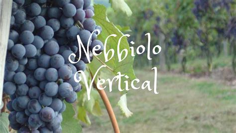 Nebbiolo Vertical - Breaux Vineyards | Top Winery & Tasting Room in ...