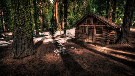 Download Man Made Cabin 4k Ultra HD Wallpaper