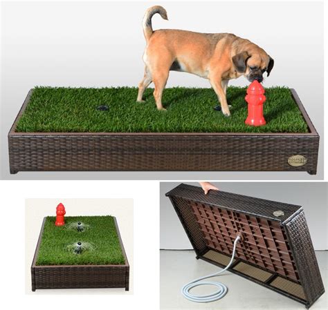 A grass-filled "litter box" for your dog - The Gadgeteer | Dog potty ...