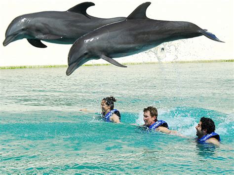 Cancun Tours Packages, Cancun Day Tours, Top Excursions in Cancun