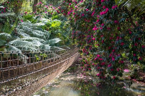 Abbotsbury Subtropical Gardens, established in 1765, was described by ...