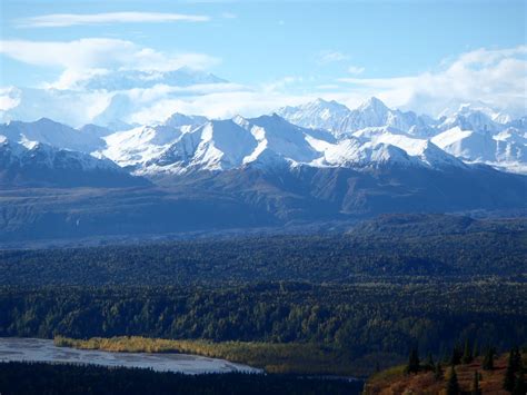 P9080225 | Views along hiking trail in Talkeetna, Alaska. | Teresa Ritchie | Flickr