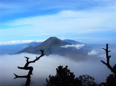 Merajut Rindu Gunung Sindoro | Jejak Eko Syamsudin