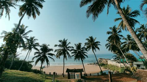 Kovalam Beach: surfing in India's most consistent wave