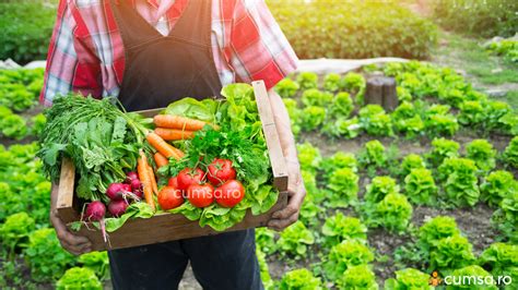 Compatibilitate legume in gradina. Cum sa le cultivi in mod inteligent ...