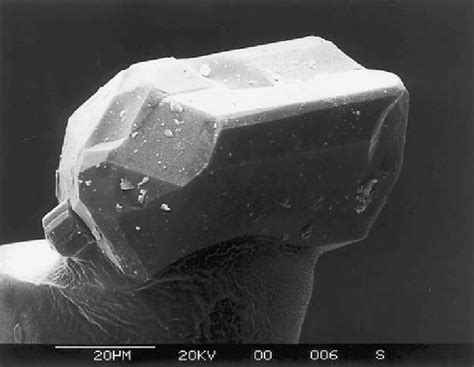 SEM picture of a twinned euhedral crystal of the new... | Download Scientific Diagram