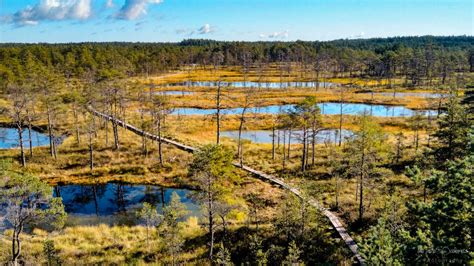 Nature-Culture Day Tour to Lahemaa National Park - Capture Estonia ...