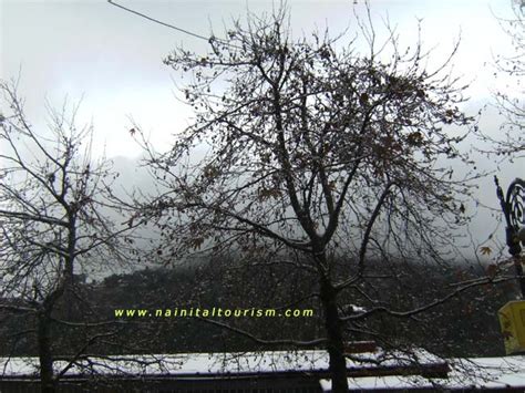 NAINITAL TOURISM :- SNOWFALL | SNOW FALL IN NAINITAL | NAINITAL SNOWFALL