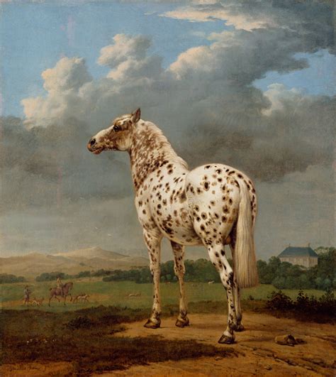 A Horse, Of Course! Curator Anne Woollett on Equine Painting | The Getty Iris