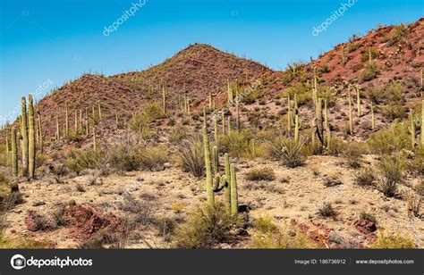 Arizona Desert Mountains Stock Photo by ©nelsonsirlin@yahoo.com 186736912