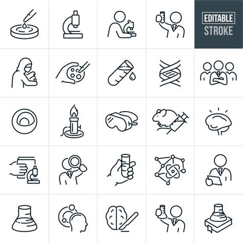 2,100+ Stem Education Icons Stock Illustrations, Royalty-Free Vector ...