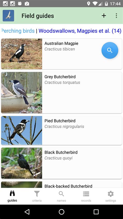 Australian Birds Guide APK for Android Download