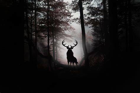 HD wallpaper: Fantasy Animals, Deer, Dark, Forest, Silhouette | Wallpaper Flare