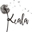 Keala 2024: Varios Descuentos