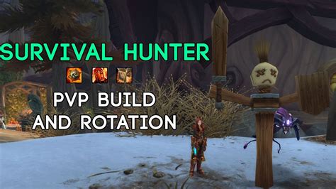 Survival Hunter PvP build and rotation - YouTube