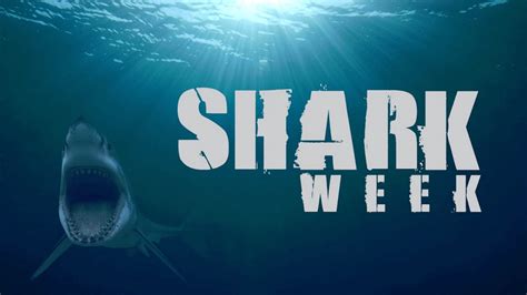 Shark Week su Discovery Channel: la programmazione TV - Super Guida TV