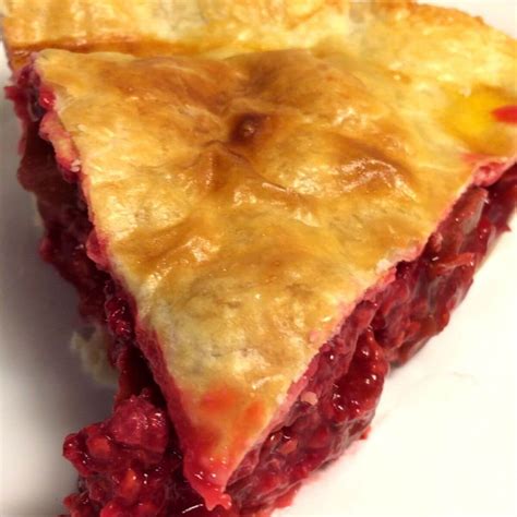 Raspberry Rhubarb Pie - Garden to Griddle