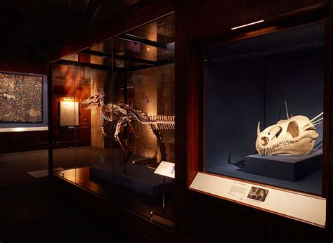 Mermaids and unicorns feature in blockbuster new Natural History Museum exhibition - Design Week