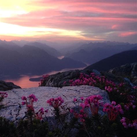 Golden Ears Photo | 2014 Hiking Photo Contest | Vancouver Trails