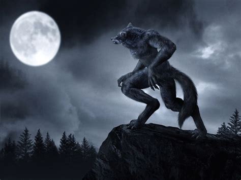 Werewolf | Werewolf, Mythical creatures, Vampires and werewolves