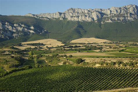 7 reasons to visit La Rioja: #2. Vintage landscapes | The Pothole ...