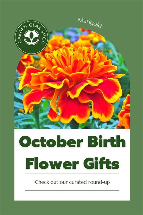 October Birth Flower Gift Ideas 🌼 | October birth flowers, Birth flowers, Flower gift ideas