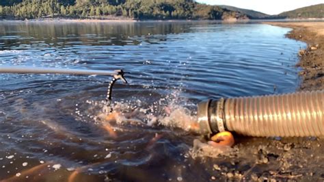 Lake Hemet Lightning Trout Stocking - YouTube