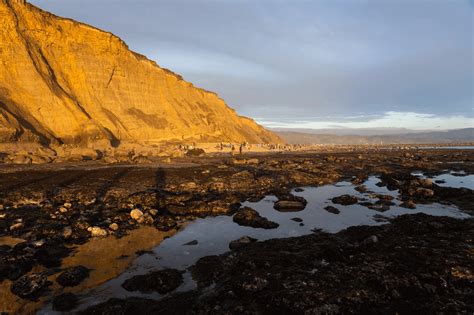 Mavericks Beach | Beachfix