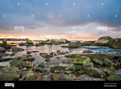 Baltic sea beach in Tallinn Estonia Stock Photo - Alamy