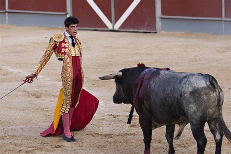 BULLFIGHTS