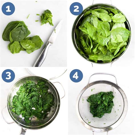 Spinach Puree - Healthy Little Foodies