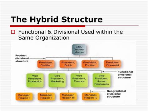 Hybrid Organizational Structure Examples