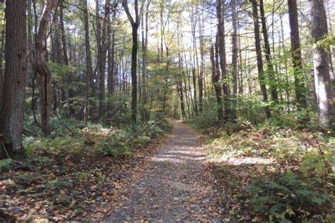 Poconos Hiking | Find Beautiful Pocono Mountain Trails