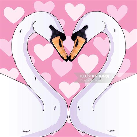 Love Swans | Illustration by Fionna Fernandes