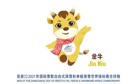 Tsinghua-designed mascot unveiled for 2021 FIS World Championships-Tsinghua University