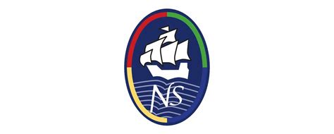 Nailsea School Logo - Nailsea Town