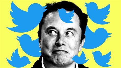 Elon Musk's Twitter To Reportedly Launch "Twitter Coin"
