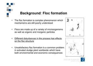 On-line optical monitoring of activated sludge floc morphopoly | PPT