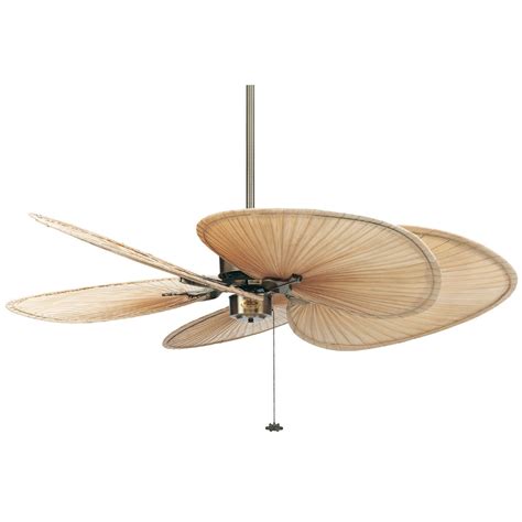 Fanimation 52" Islander 5 Palm Blade Ceiling Fan & Reviews | Wayfair