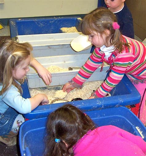 SAND AND WATER TABLES: Horse play