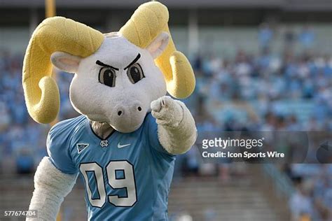 287 Unc Mascot Rameses Stock Photos, High-Res Pictures, and Images - Getty Images