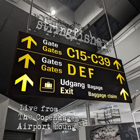 Live at The Copenhagen Airport Lounge | Stringfisher