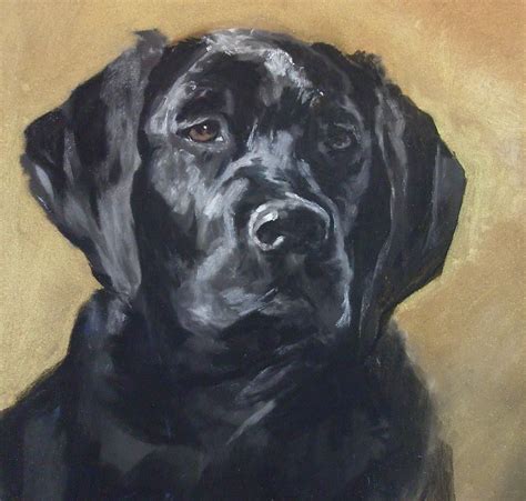 Black Lab Painting by Debbie Anderson | Dog portraits painting, Labrador art, Dog portraits